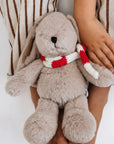 Teddy | Christmas Hugh Rabbit Medium