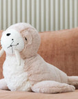 Teddy | Daryl Walrus