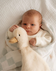 Comforter Toy | Waddles