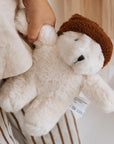 Teddy | Freddie Bear