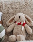 Teddy | Christmas Hugh Rabbit Medium