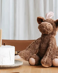 Teddy | Daisy Moose