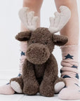 Teddy | Daisy Moose