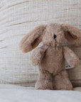 Teddy | Hugh Rabbit Mini
