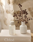 Room Spray | Mango & Lychee