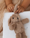 Teddy | Hugh Rabbit Mini