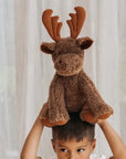 Teddy | Dudley Moose