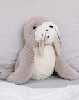 Teddy | Daryl Walrus