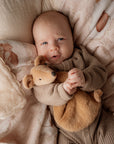 Comforter Toy | Squeaky