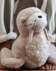 Teddy | Daryl Walrus