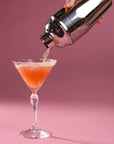 Le Bebe Cocktail Shaker | Stainless