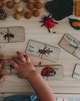 Puzzle | Garden Bugs