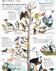 Book | The Big Book of Birds