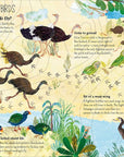 Book | The Big Book of Birds