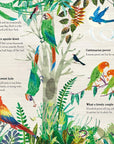 Book | The Big Book of Birds