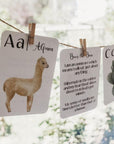 Flashcards | Nature's ABC
