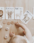 Flashcards | Nature's ABC