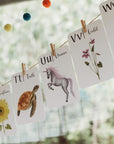 Flashcards | Nature's ABC