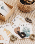 Flashcards | Nature's ABC