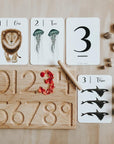 Flashcards | Nature's 123