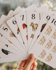 Flashcards | Nature's 123