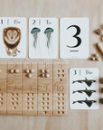 Flashcards | Nature's 123