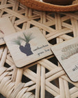Tiles | Indigenous A - Z