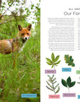 Book | Our Planet