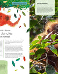 Book | Our Planet