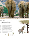 Book | Our Planet