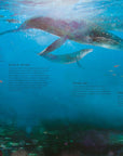 Book | Our Planet