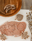 Eco Cutter | Leaf Set