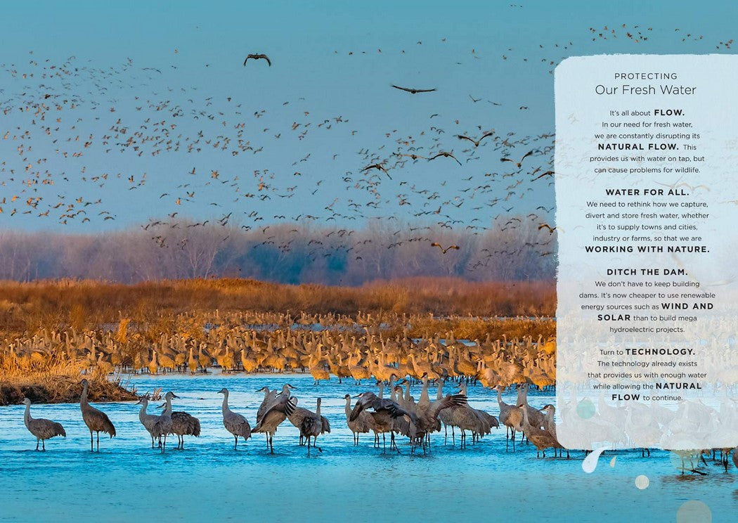 Book | Our Planet