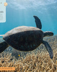 Book | Our Planet
