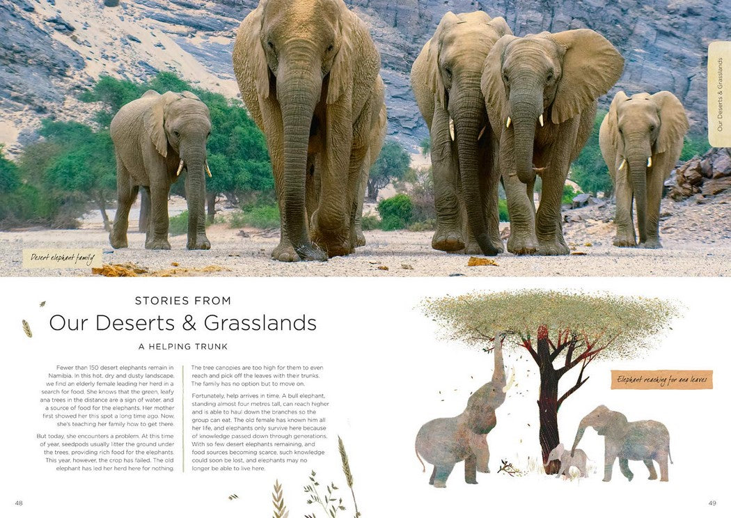 Book | Our Planet