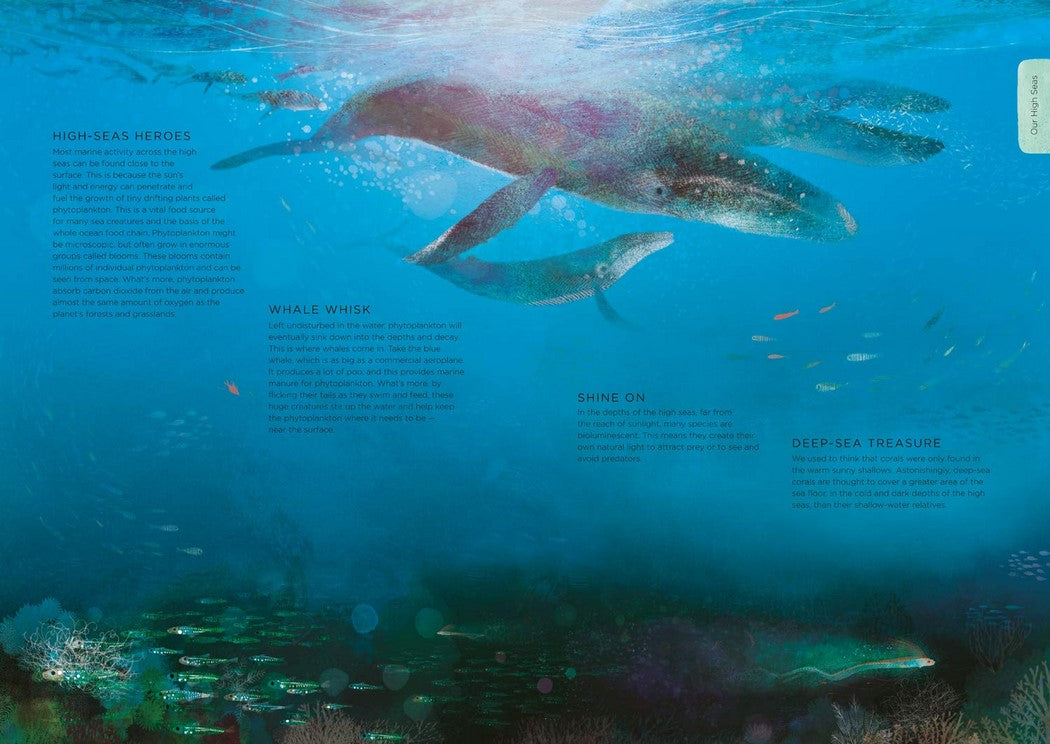 Book | Our Planet
